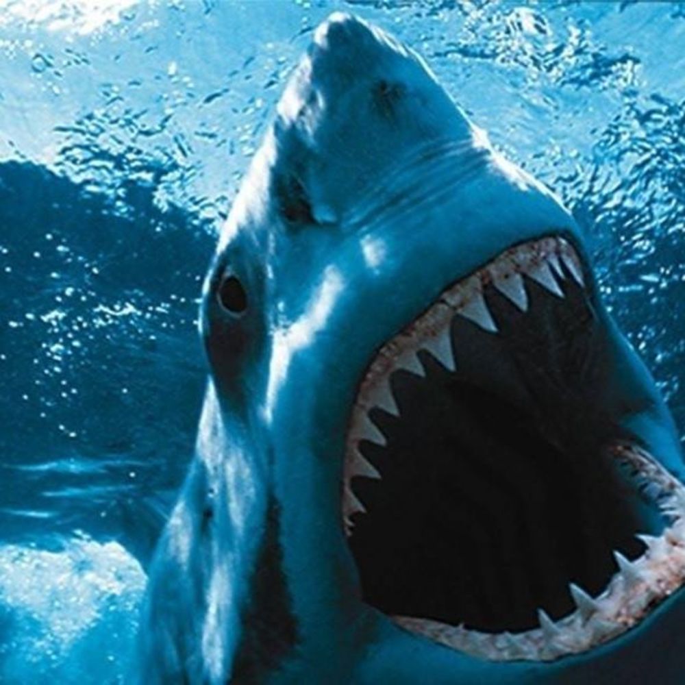 Meet your Posher, ì¸ì¬